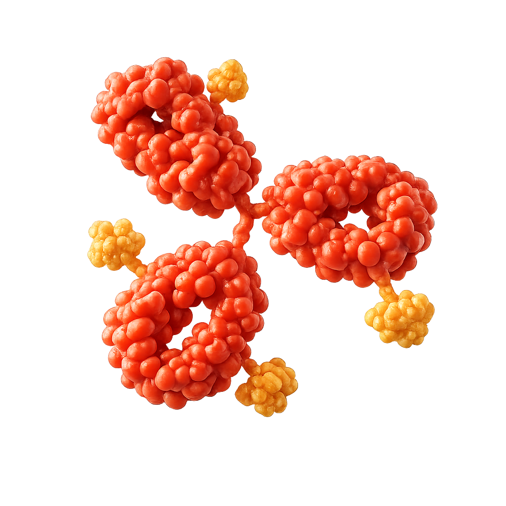 Antibody-drug conjugate molecule — the convergence of patient-derived biology, AI-enhanced discovery, and first-in-class audacity
